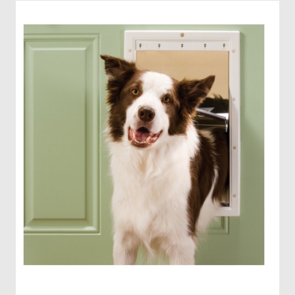 NIB plastic doggie 🐶 door.
